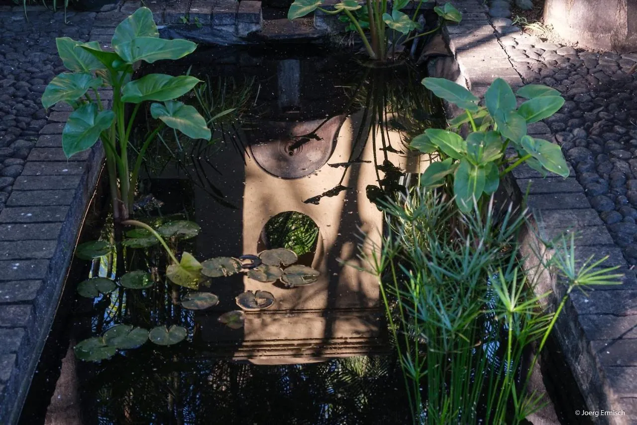 El Jardin de la Palapa Villa Los Realejos