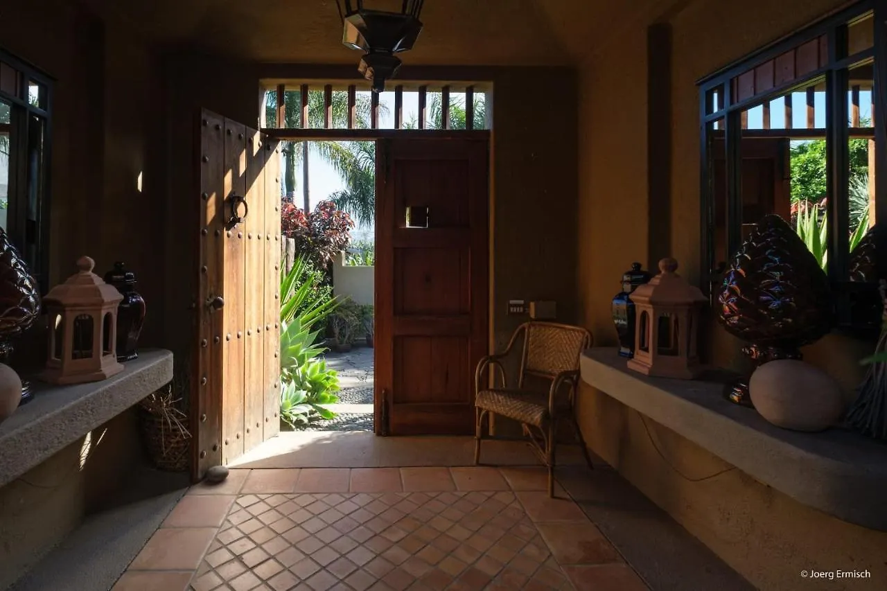 El Jardin de la Palapa Villa Los Realejos