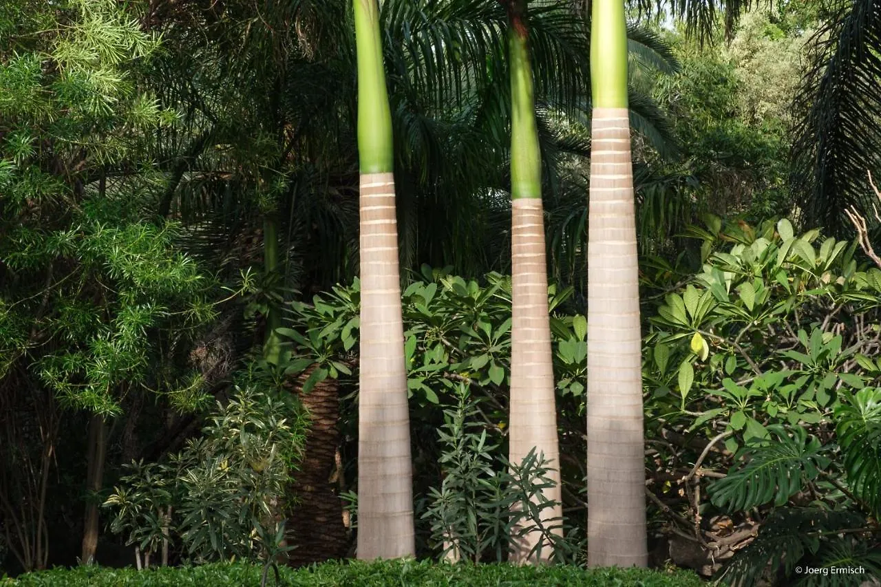 El Jardin De La Palapa Villa Los Realejos
