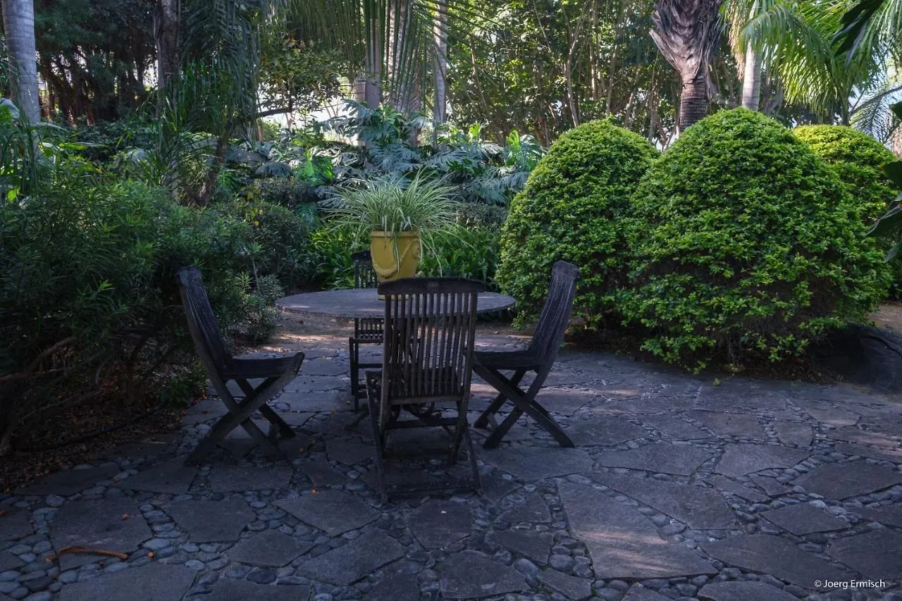 El Jardin de la Palapa Villa Los Realejos