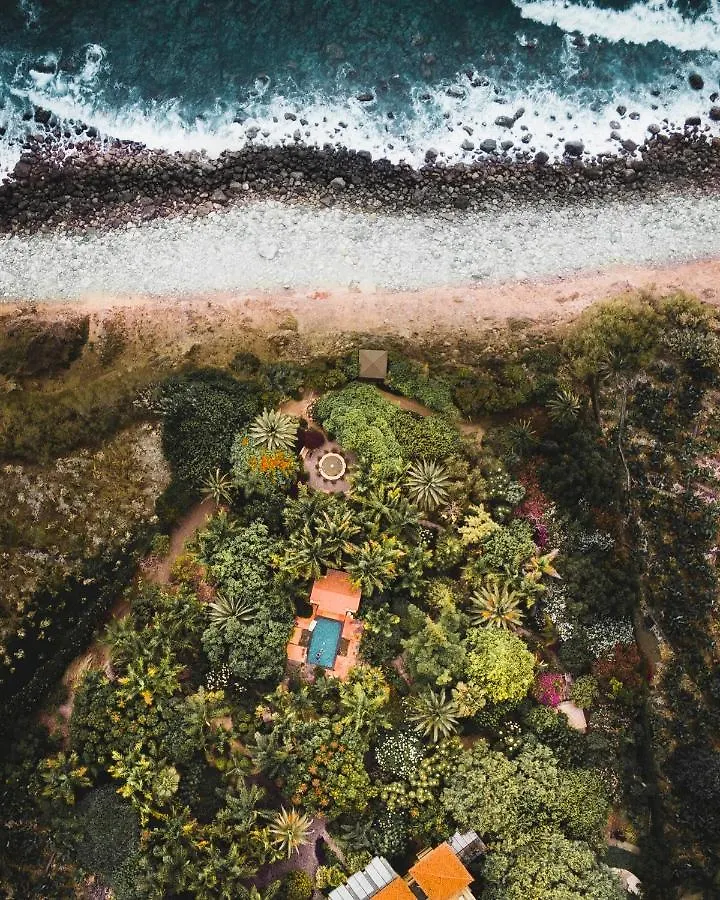 El Jardin de la Palapa Villa Los Realejos