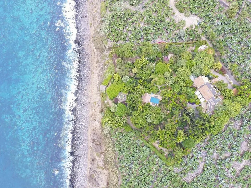 El Jardin De La Palapa Villa Los Realejos Spagna