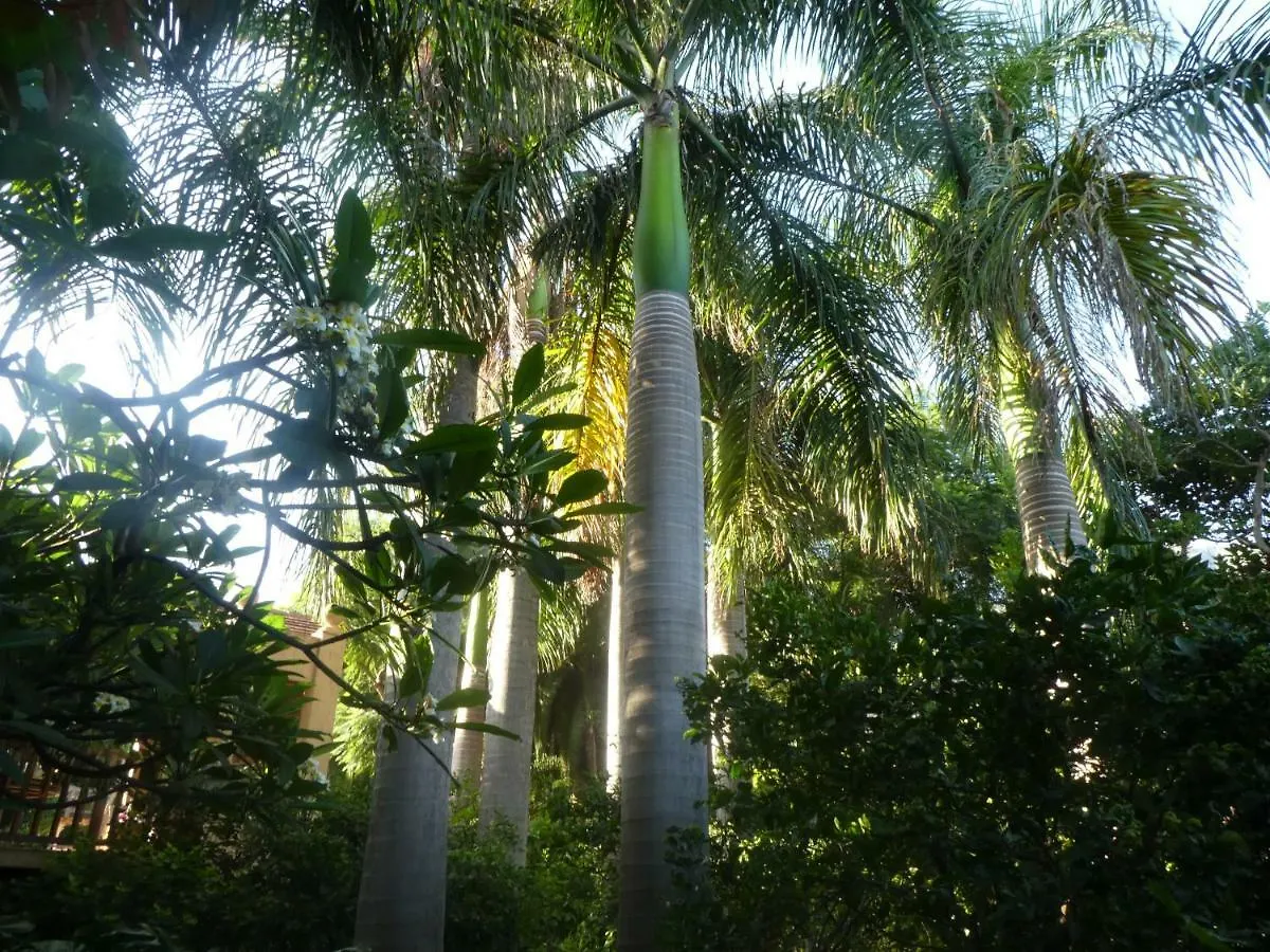 El Jardin de la Palapa Villa Los Realejos España