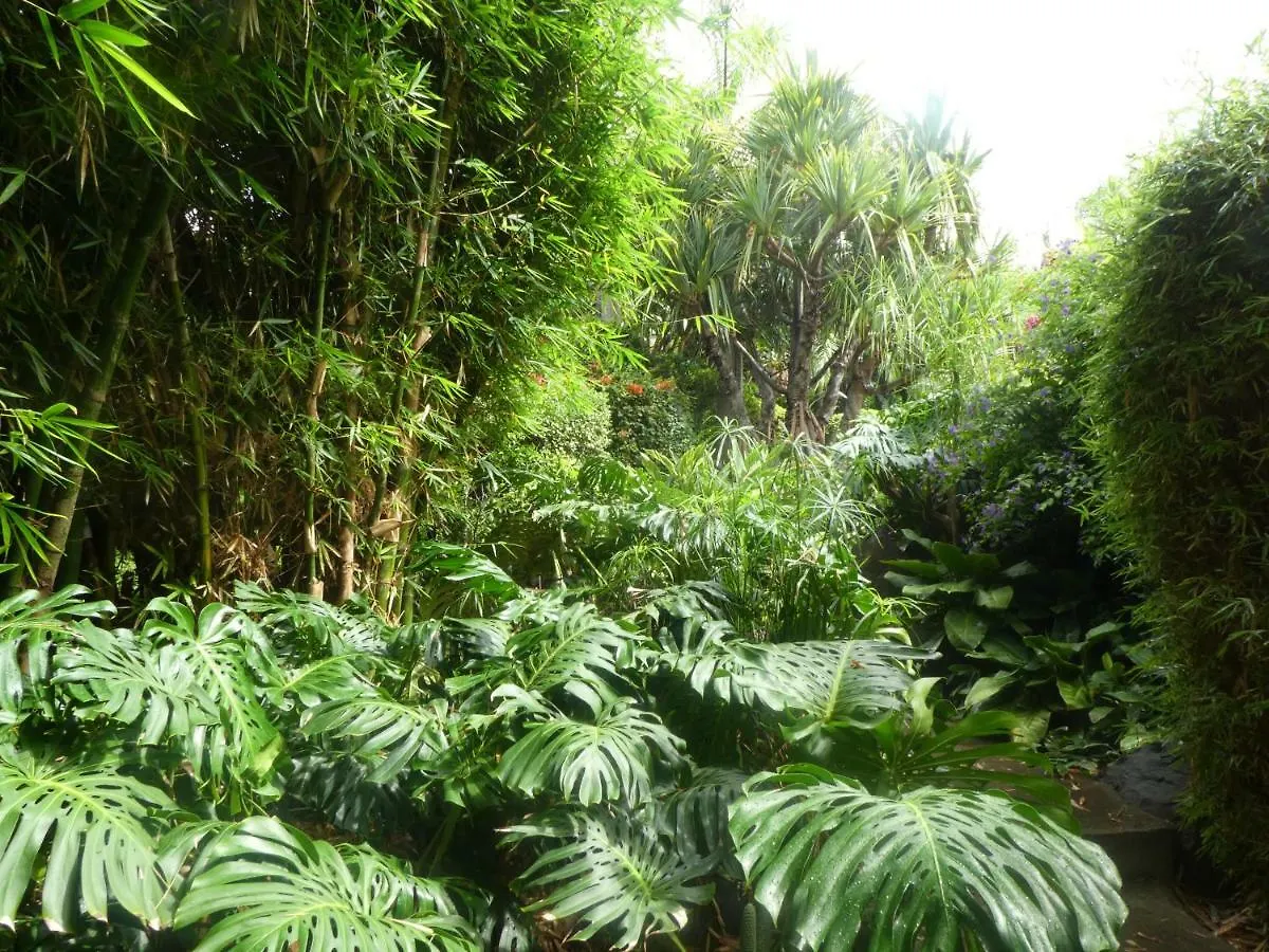 El Jardin De La Palapa Villa Los Realejos