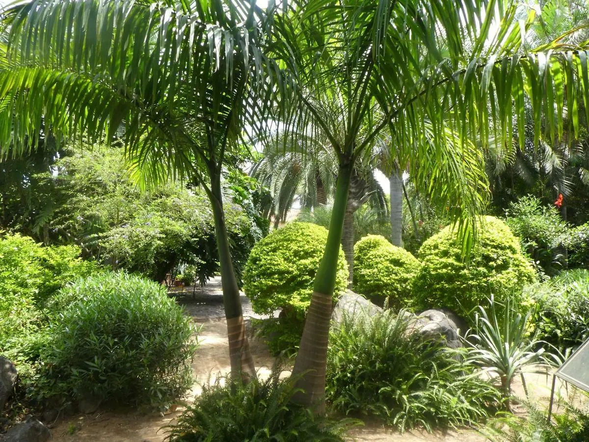 El Jardin de la Palapa Villa Los Realejos