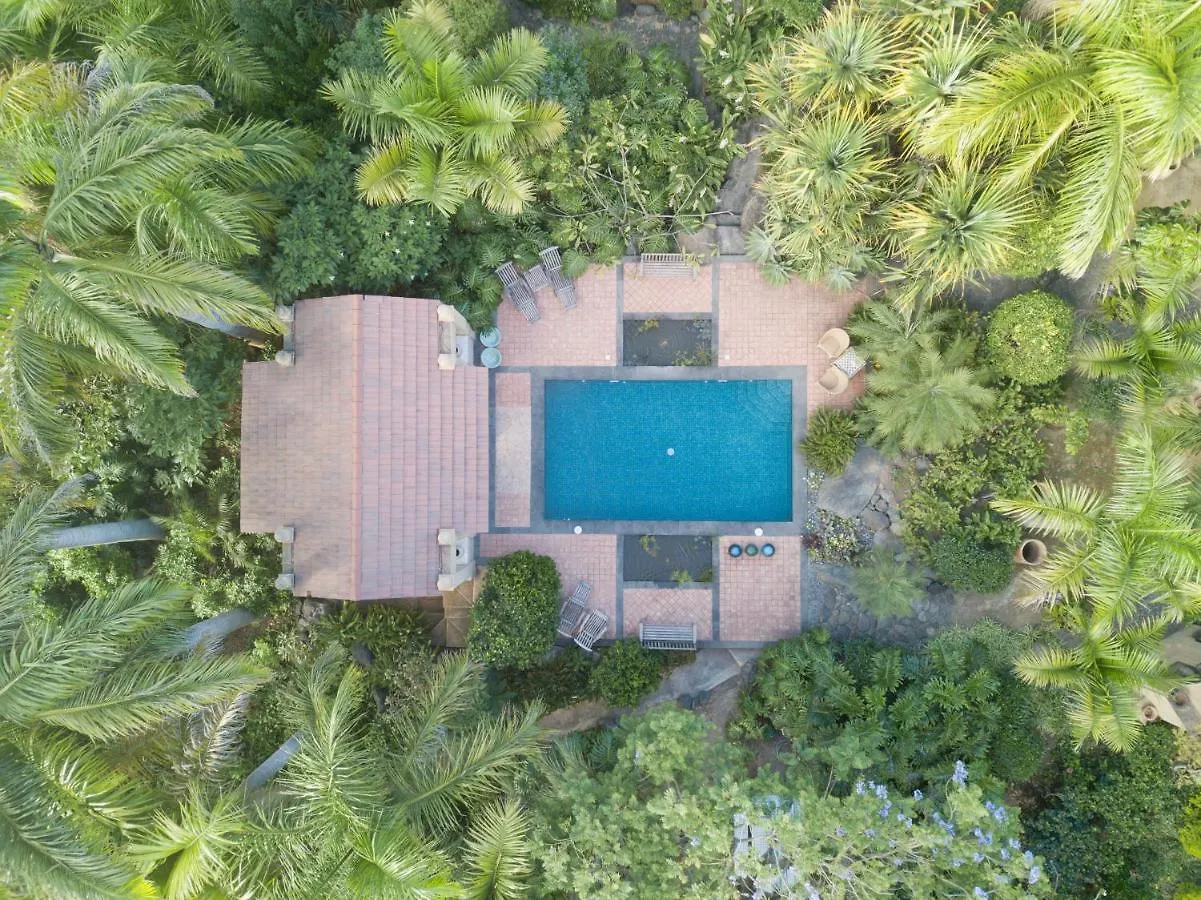 El Jardin De La Palapa Villa Los Realejos