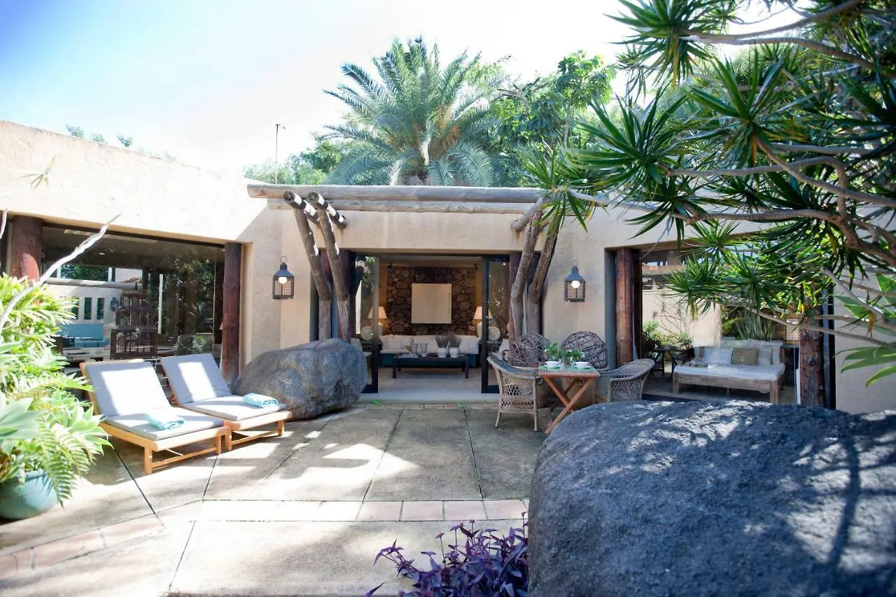 Villa El Jardin De La Palapa Los Realejos Spanien